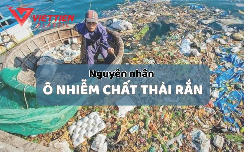 Tác động từ đô thị hóa và thiếu ý thức là nguyên nhân chính gây ra ô nhiễm chất thải rắn
