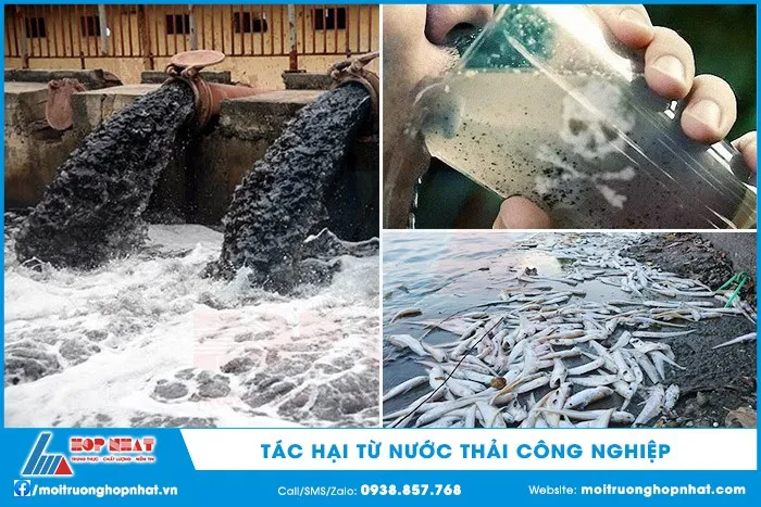 Tác hại từ nước thải công nghiệp