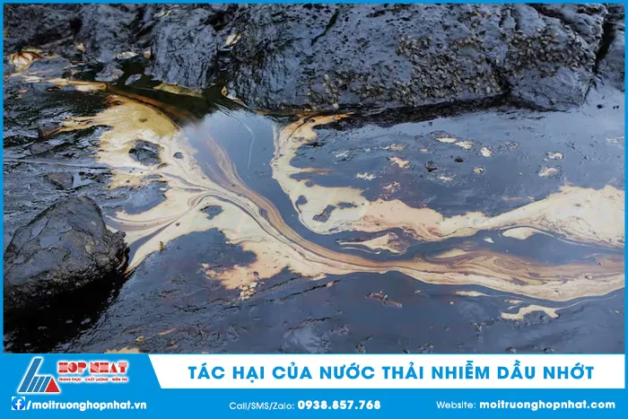 Tác hại của nước thải nhiễm dầu nhớt