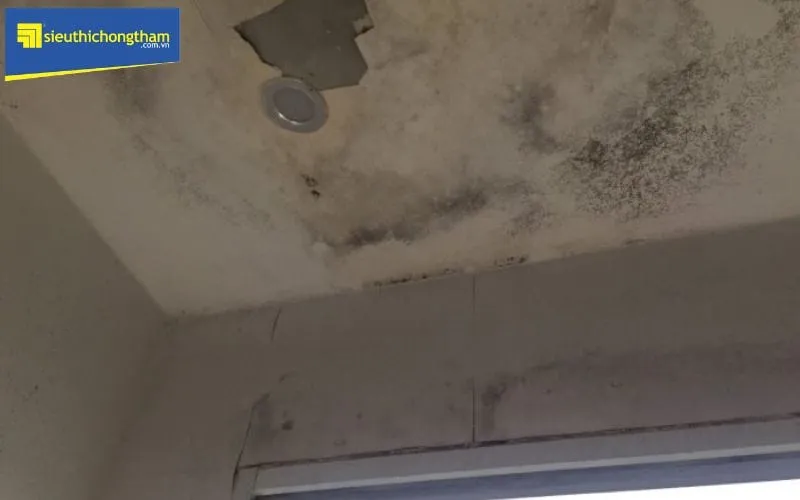 Tầm quan trọng của việc chống thấm toàn diện cho căn hộ chung cư