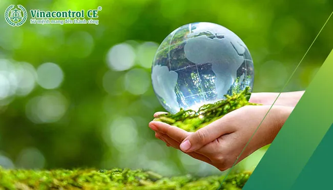 Tầm quan trọng của việc xử lý rác thải hữu cơ trong bảo vệ môi trường và phát triển bền vững