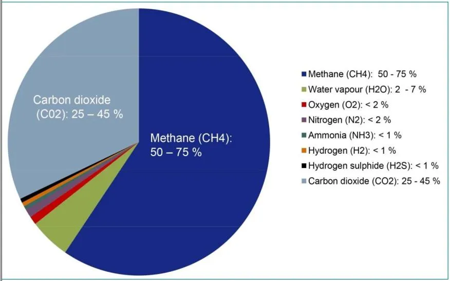 Thành phần khí biogas và năng lượng