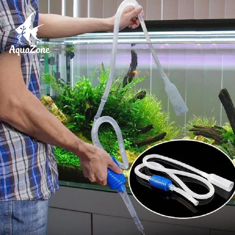 Thay nước hồ cá định kỳ giữ nước trong