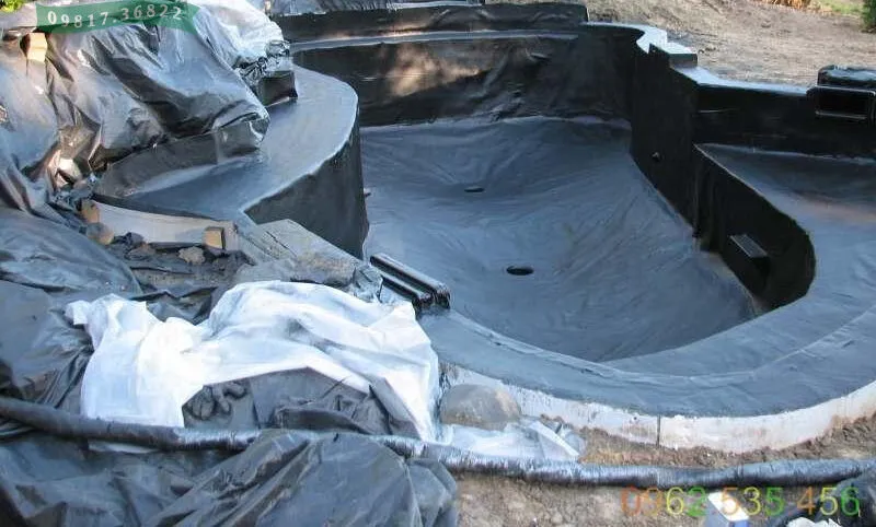 Thi công bạt lót hồ cá Koi