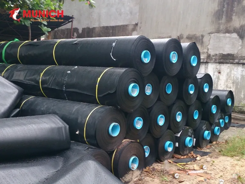Thi công chống thấm WC bằng màng chống thấm hiệu quả