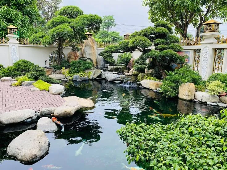 Thi công hồ cá koi mini đa chức năng, tối ưu không gian nội thất