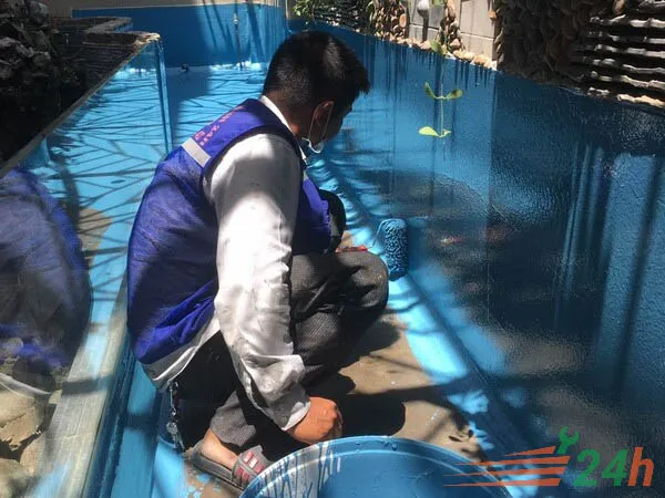 Thi công lớp sơn epoxy chống thấm bể nước đầu tiên, đảm bảo lớp phủ đều và không có bọt khí