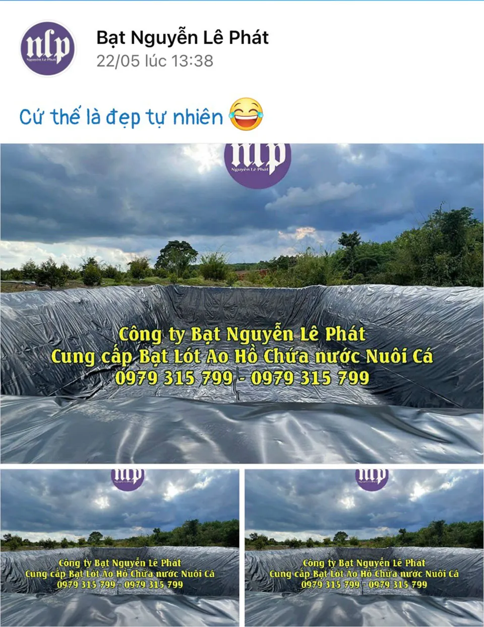 Thi công lót bạt hồ cá cảnh