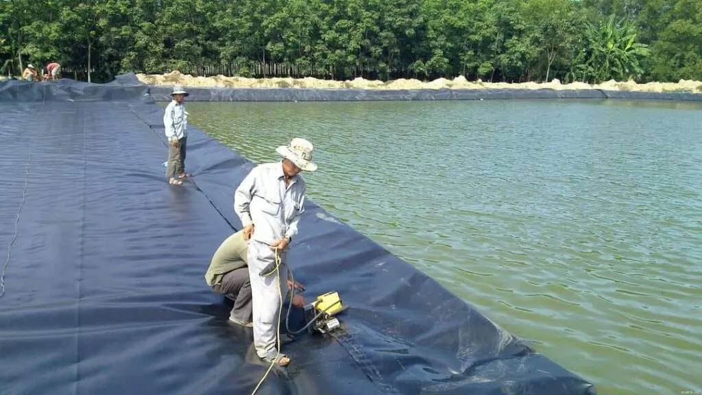 Thi công màng chống thấm HDPE 1.5mm bằng máy hàn nhựa chuyên dụng tại công trình xử lý nước thải, đảm bảo kỹ thuật địa môi trường