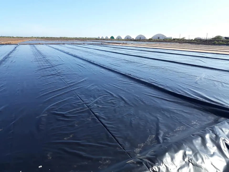 Thi công vải bạt chống thấm HDPE cho công trình hồ chứa