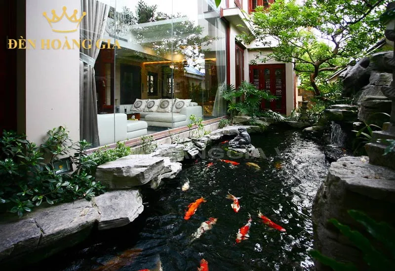 Thiết kế hồ cá bên hông nhà