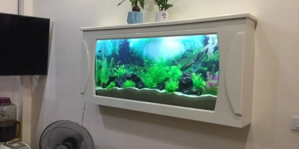 Thiết kế hồ cá treo tường mini, tận dụng không gian hiệu quả