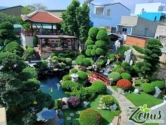Thiết kế thi công bể cá koi ngoài trời đẹp