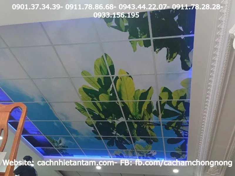 Thiết kế trần nhựa 3D độc đáo và hiện đại