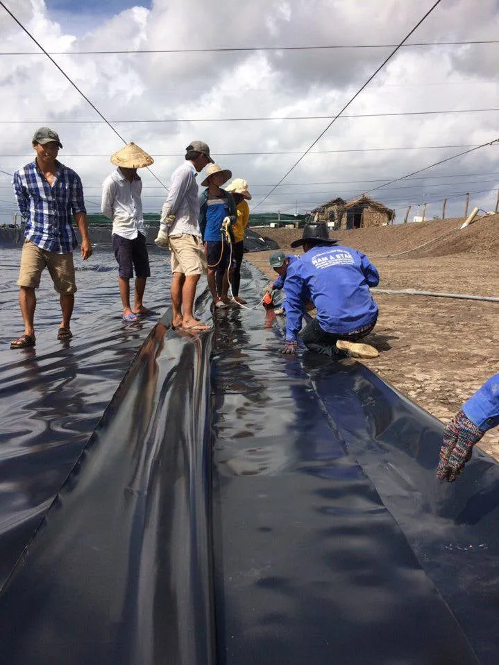 Thợ hàn màng nhựa HDPE chuyên nghiệp đang thực hiện công việc trên công trình.