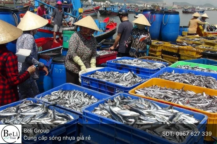 Thùng nhựa đặc dùng trong đánh bắt thủy hải sản