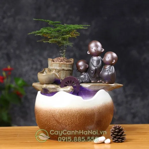 Tiểu cảnh mini thác nước với cây thủy tùng xanh tươi