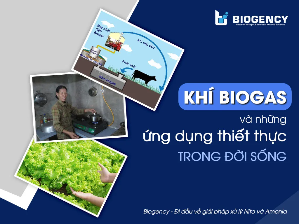 Tổng quan về khí Biogas và các ứng dụng quan trọng trong quản lý môi trường và năng lượng sạch