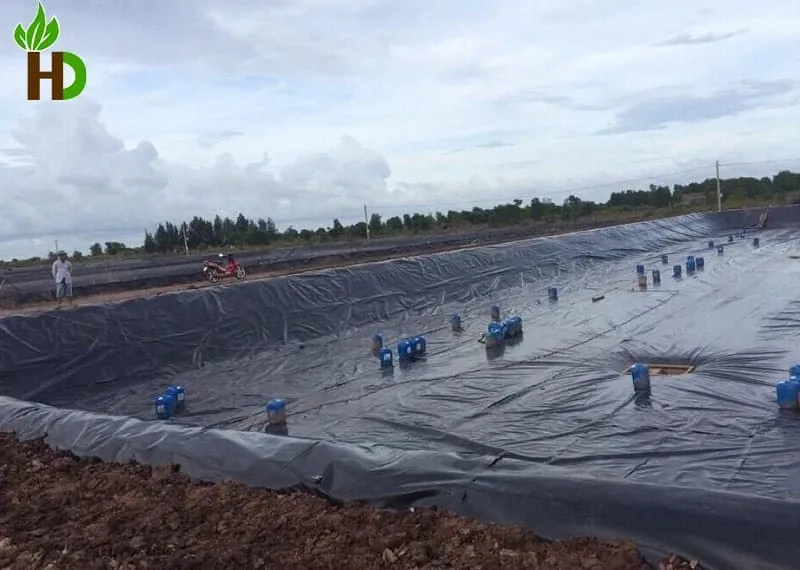 trải bạt hdpe chống thấm cho ruộng tôm
