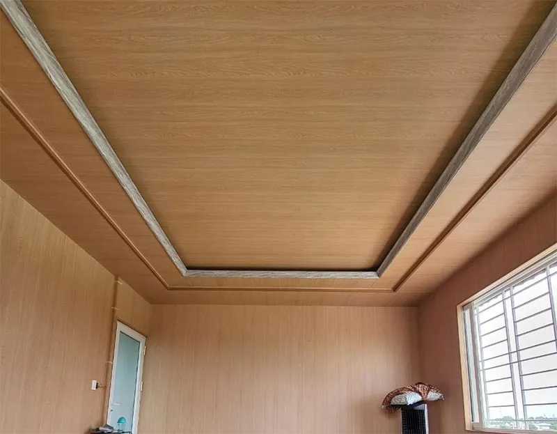 Trần Nano trong không gian mở