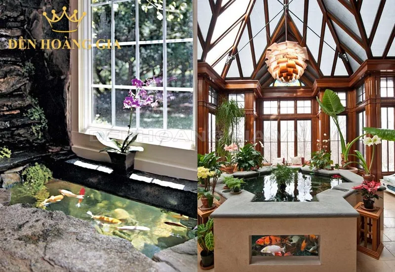 Trang trí hồ cá Koi trong nhà đẹp với đá, cây thủy sinh và đèn LED