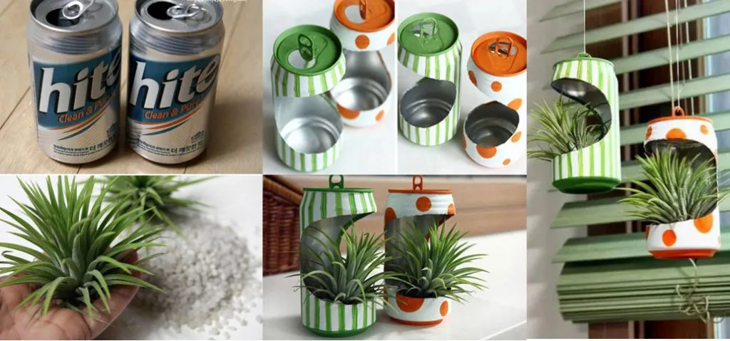 Trang trí và trồng cây cảnh nhỏ bằng vỏ lon nước, một ý tưởng sáng tạo và thân thiện với môi trường, đặc biệt phù hợp cho trẻ nhỏ tham gia.