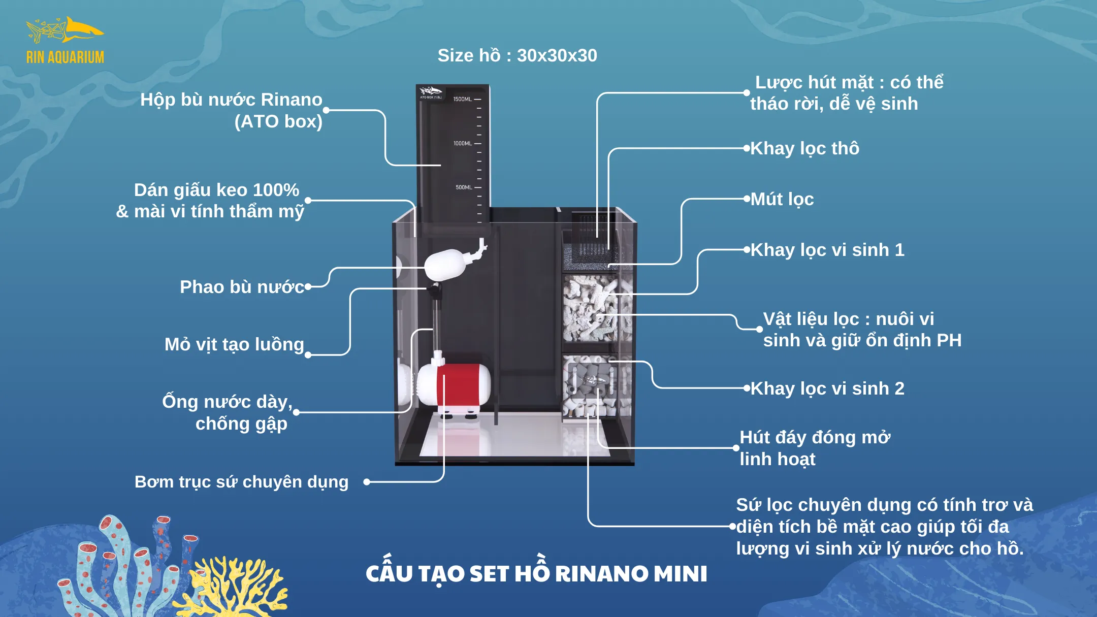 Trọn bộ thiết bị và phụ kiện cần thiết để thiết lập hồ cá biển mini