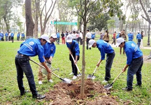 Trồng cây xanh mang lại bầu không khí trong lành
