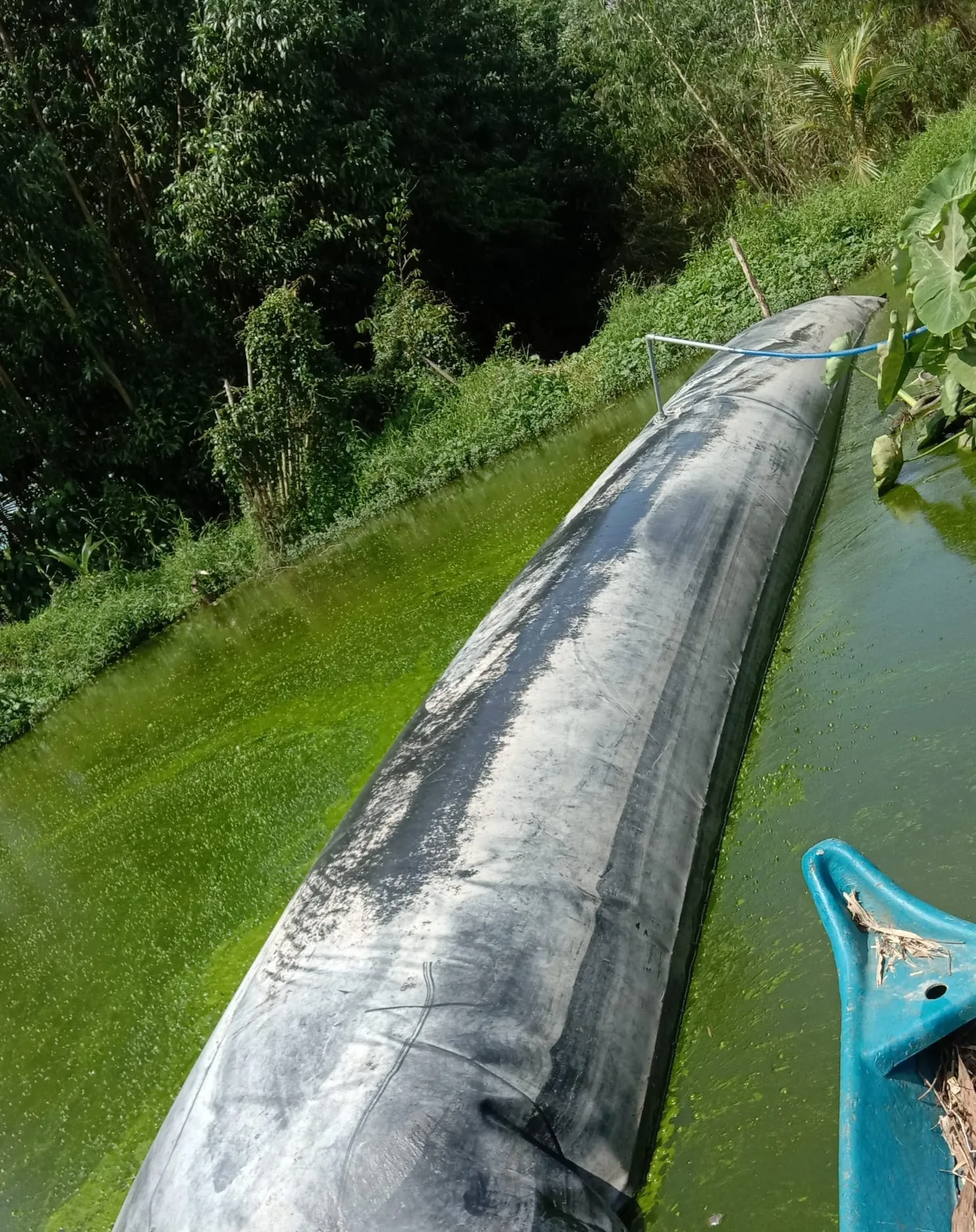 Túi bạt Biogas HDPE trên nước
