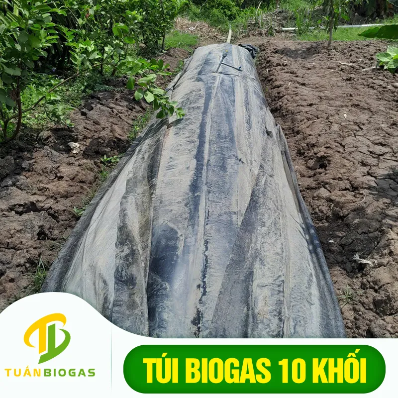 Túi biogas 10 khối phù hợp trang trại vừa