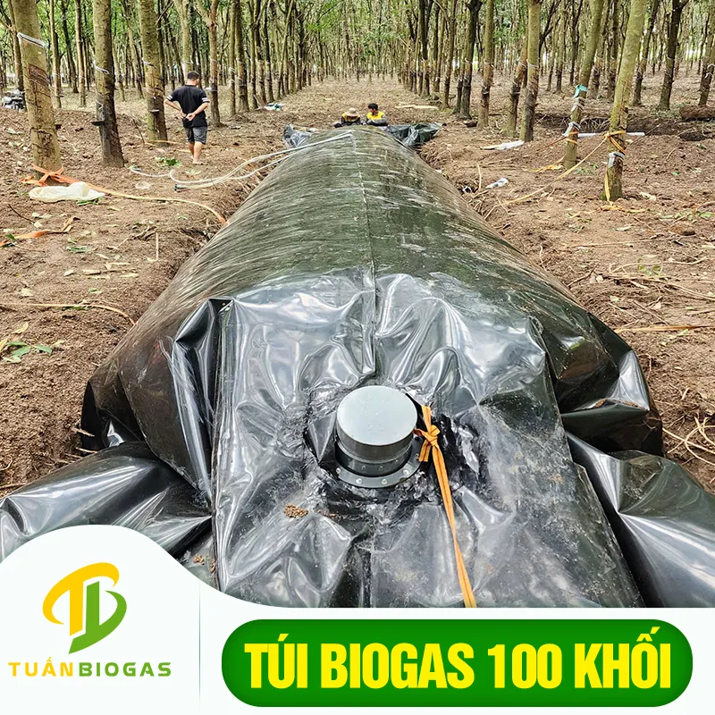 Túi biogas 100 khối với công nghệ xử lý chất thải tiên tiến