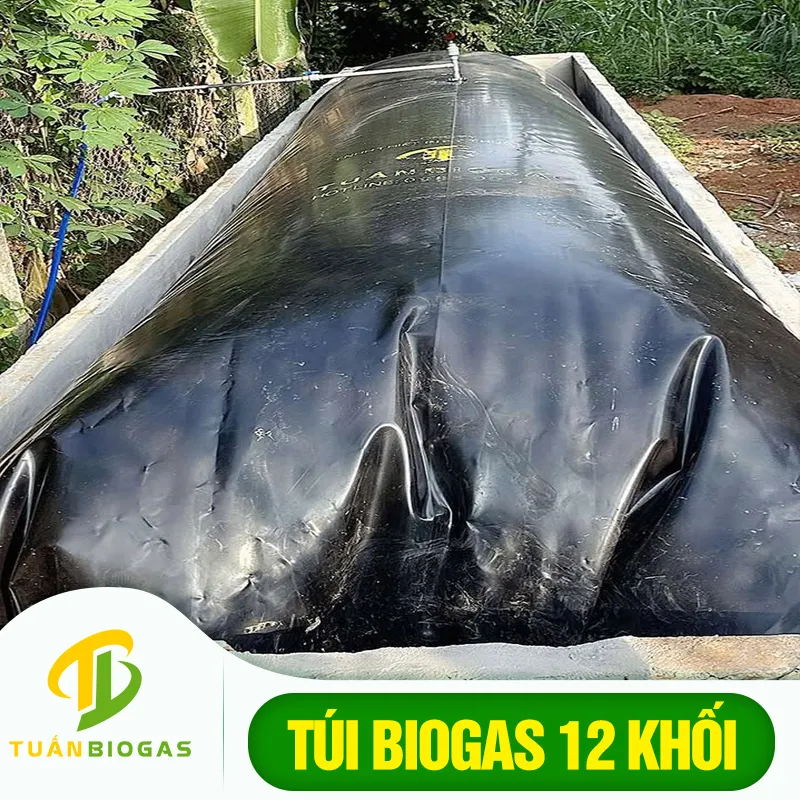 Túi biogas 12 khối lắp đặt trong chăn nuôi