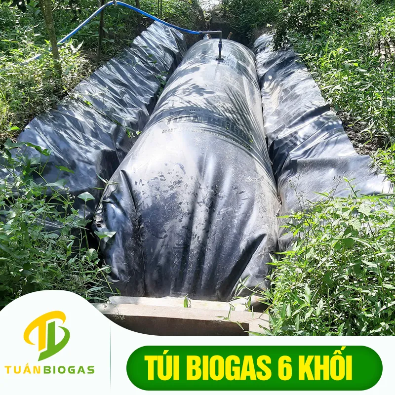 Túi biogas 6 khối phù hợp cho các hộ chăn nuôi nhỏ, giải pháp xử lý chất thải hiệu quả