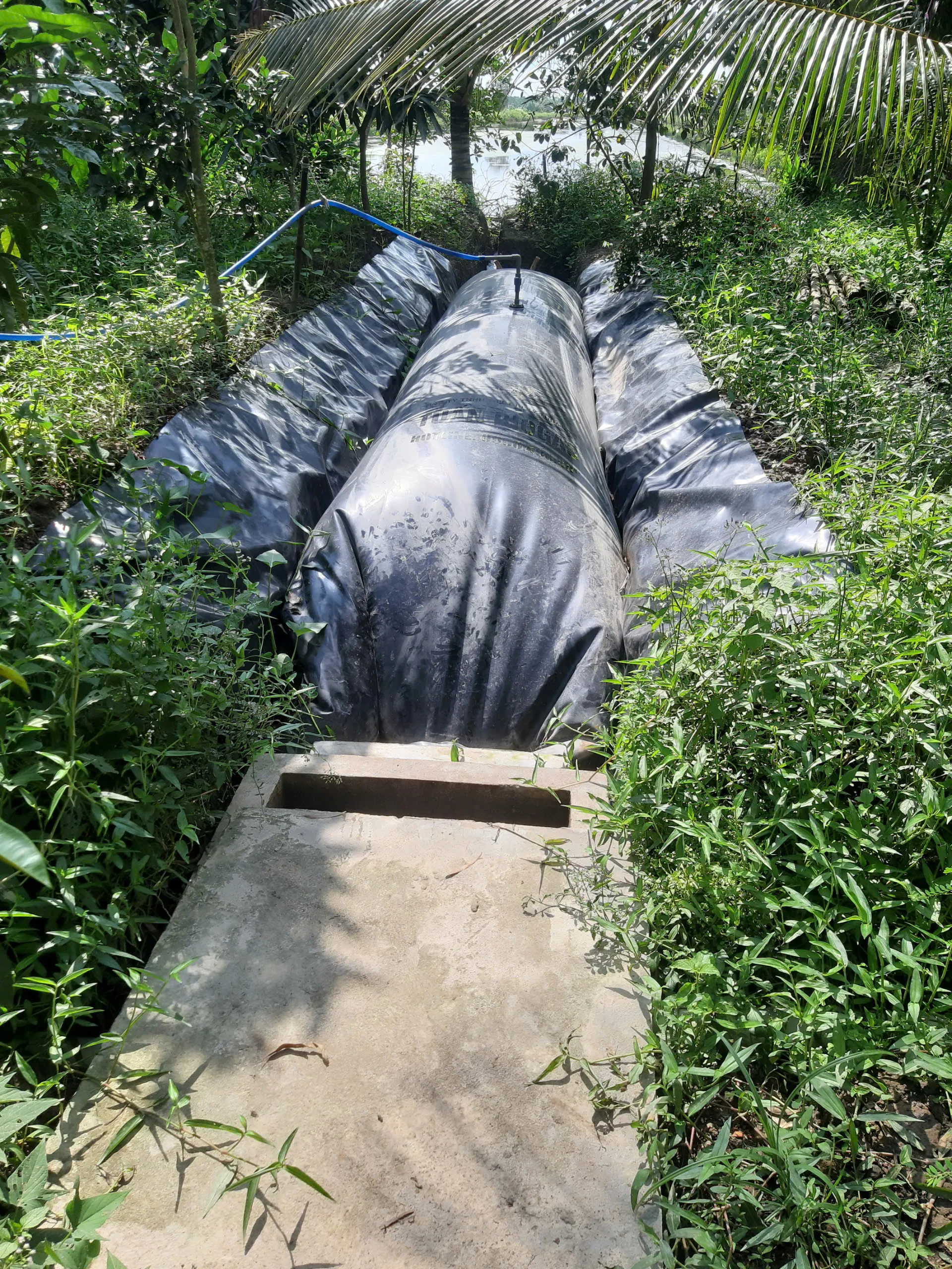 Túi biogas cho mô hình nông hộ