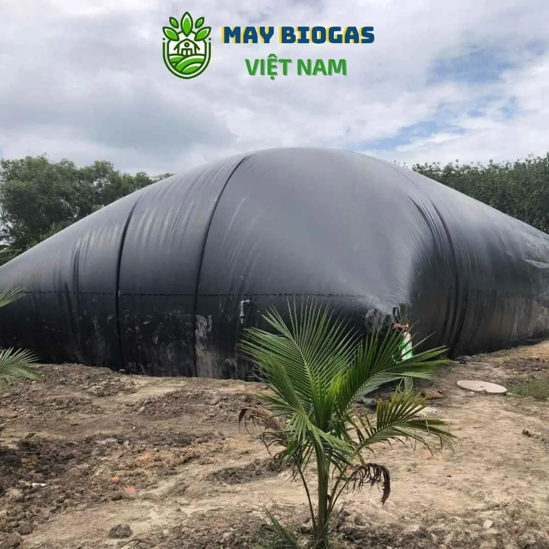 Túi biogas HDPE hoàn chỉnh sẵn sàng cho lắp đặt trong hệ thống xử lý chất thải chăn nuôi