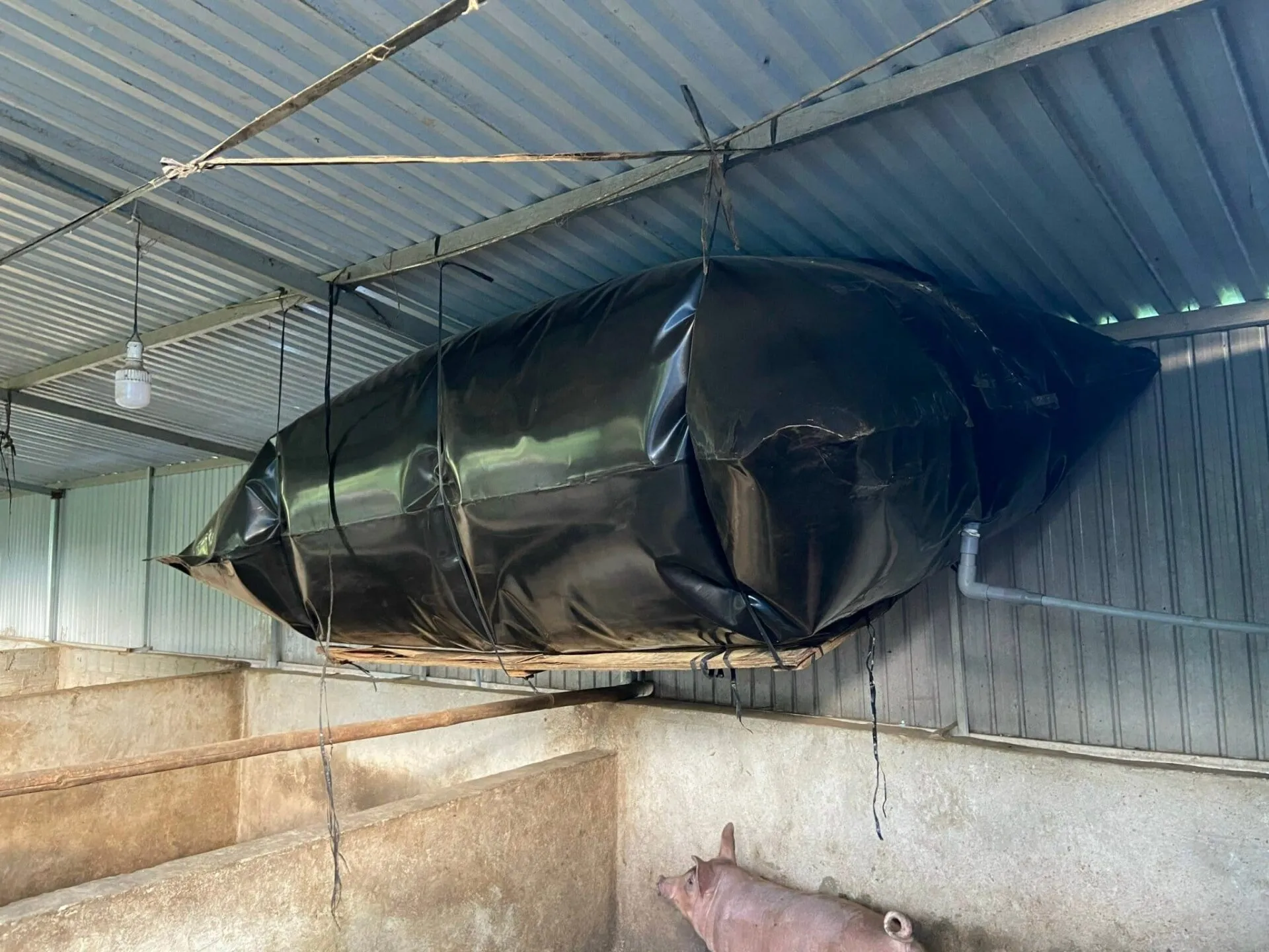 Túi trữ khí biogas 3 khối cho hộ gia đình đun nấu