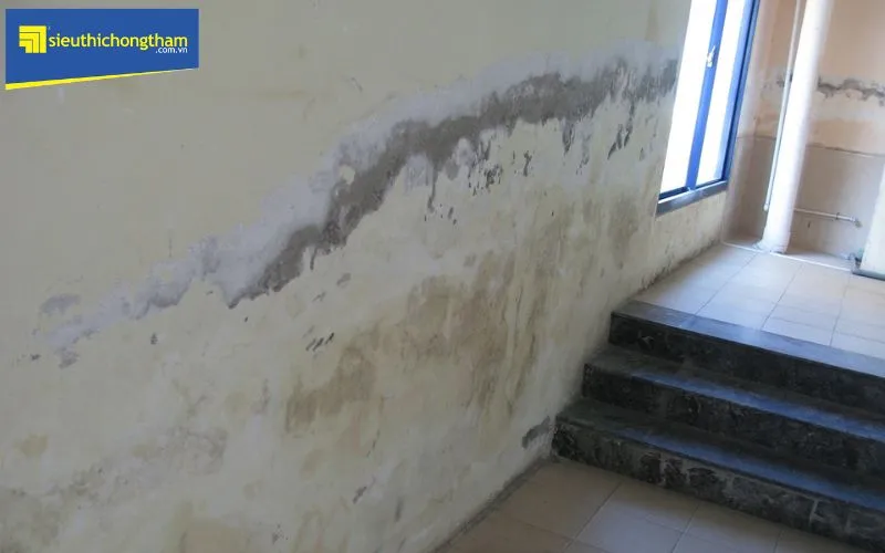 Tường cũ với dấu hiệu bong tróc, ẩm mốc do thấm nước