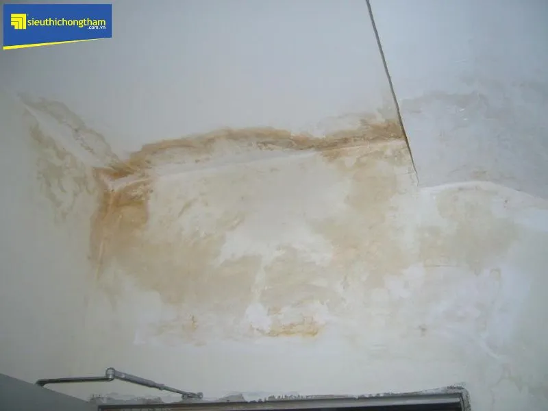Tường nhà bị thấm dột lâu ngày gây xuống cấp nghiêm trọng, cần sửa chữa chống thấm nhà