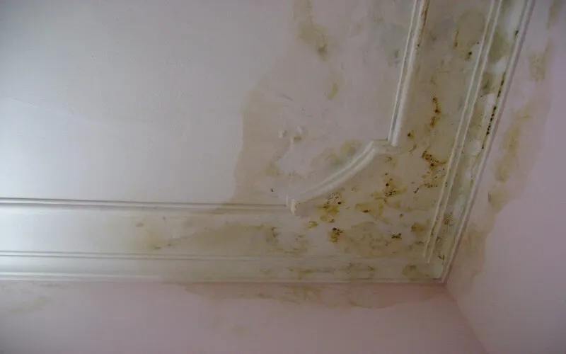 Tường nhà mới xây bị thấm nước do không chống thấm ban đầu