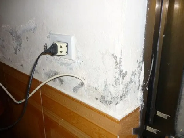 Tường trong nhà bị ẩm mốc, bong tróc dù đã lát gạch