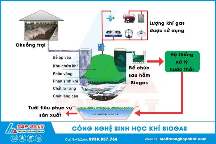 Ứng dụng công nghệ Biogas trong xử lý nước thải chăn nuôi lợn