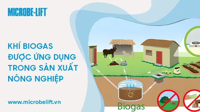 Ứng dụng của Bioga trong nông nghiệp
