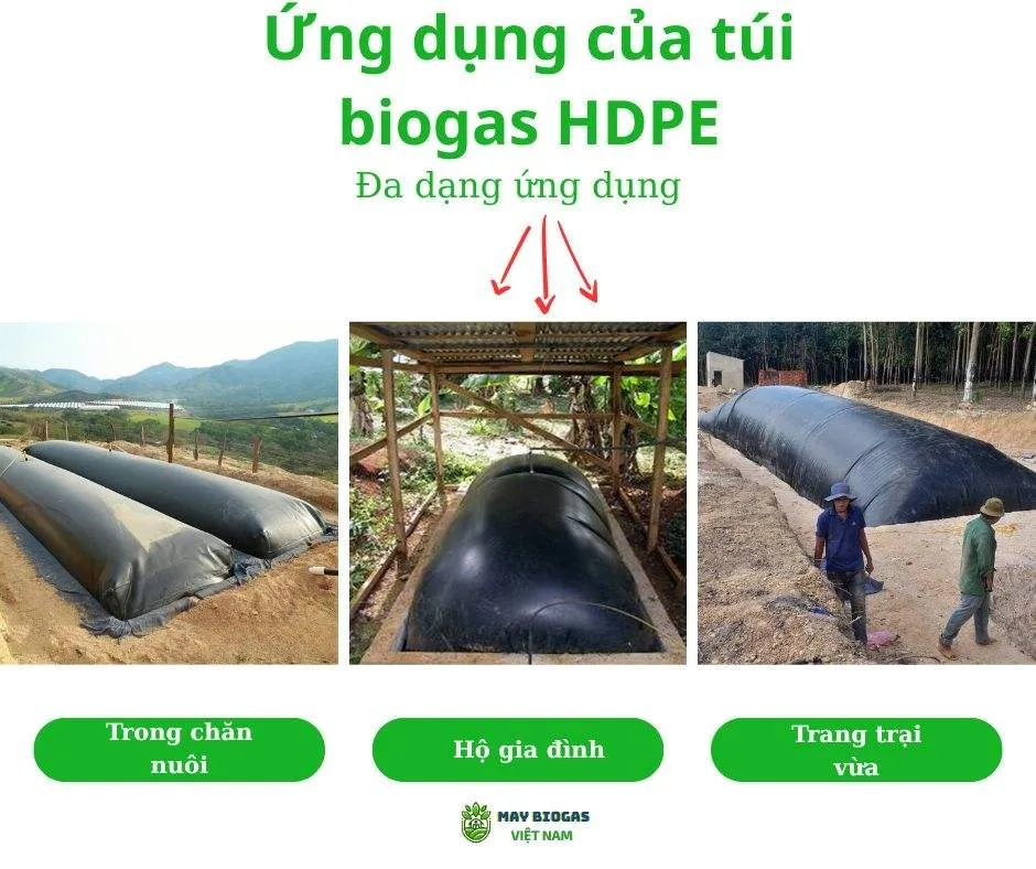 Ứng dụng đa dạng của biogas trải bạt HDPE trong chăn nuôi và sản xuất năng lượng