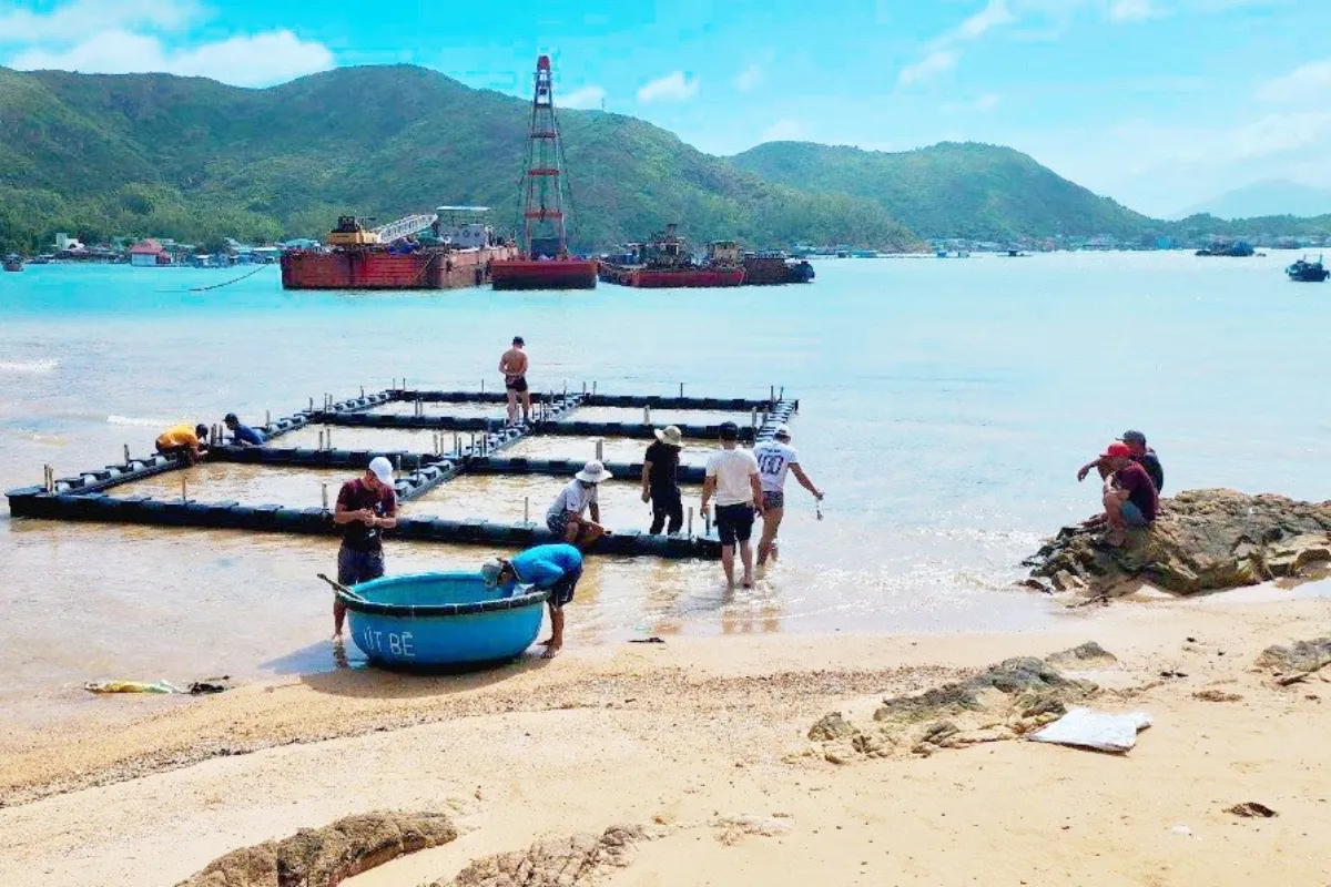 Ứng dụng lồng nuôi HDPE mang lại hiệu quả kinh tế và kiểm soát dịch bệnh cho hải sản