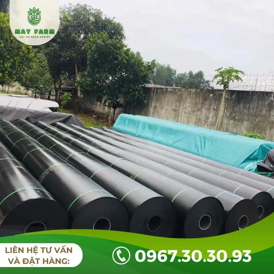 Ứng dụng nẹp định vị inox chất lượng cao trong thi công màng HDPE để tăng cường độ bền và khả năng chống ăn mòn.