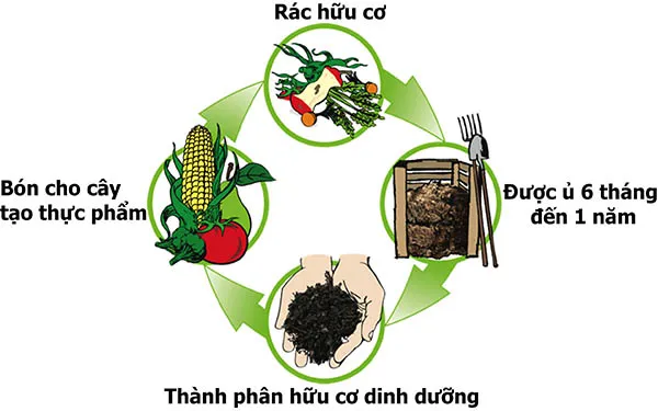 Ứng dụng rác hữu cơ