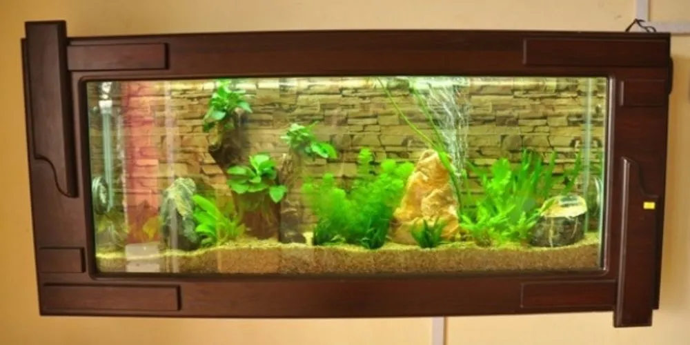 Ưu nhược điểm khi chọn hồ cá treo tường mini cho không gian sống
