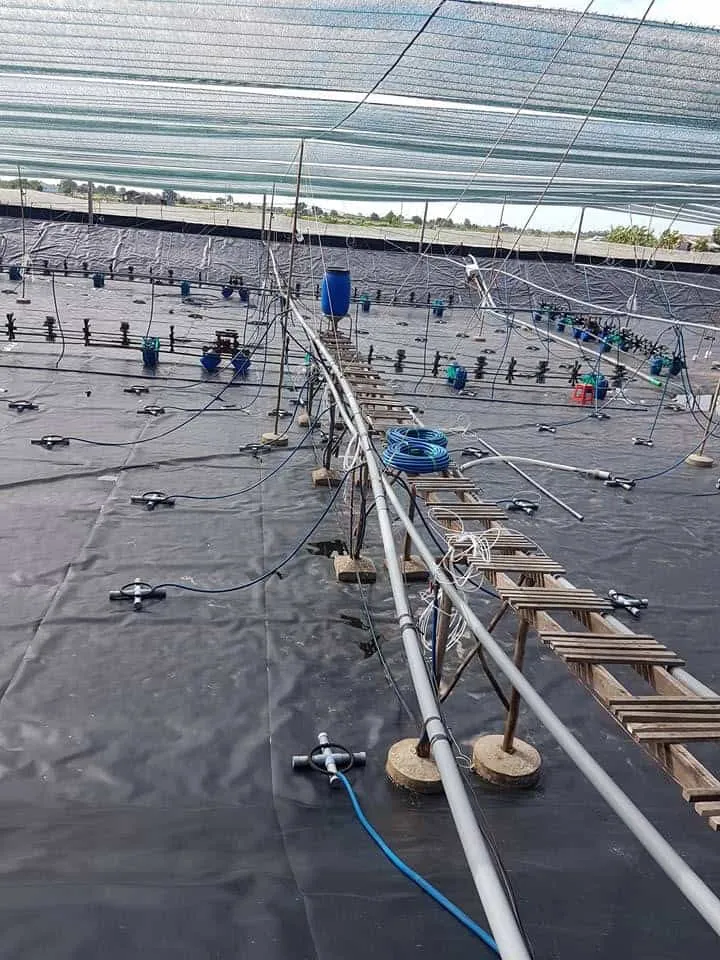 Vải bạt chống thấm nước HDPE đang được thi công cho công trình hồ chứa