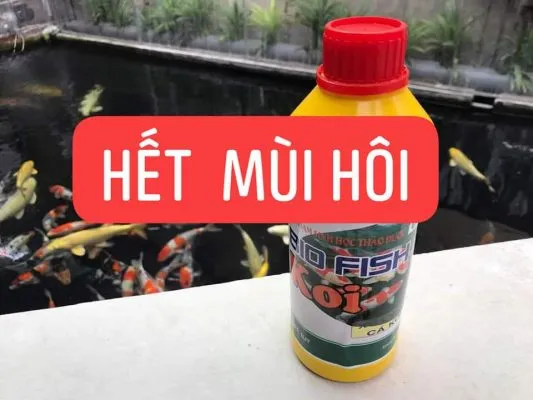 Vi sinh Biofish KOI giúp khử mùi hôi, tanh của hồ cá koi