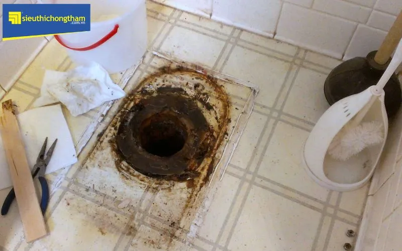 Xác định nguyên nhân trước khi thực hiện chống thấm nhà vệ sinh chung cư